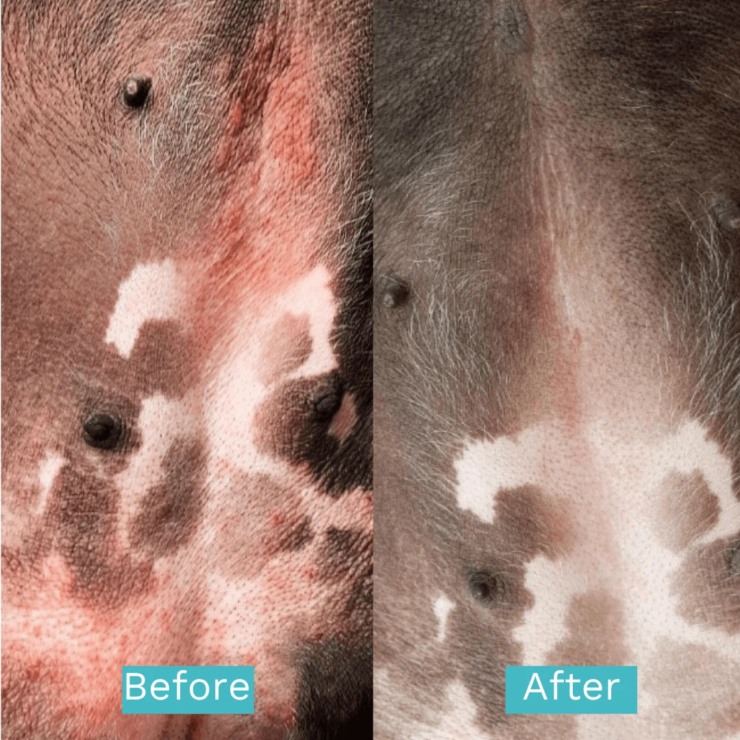 Colloidal Silver Spray Mist