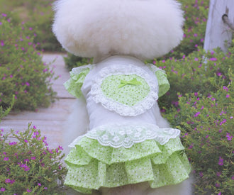 Dance in the Garden – Green Online Only