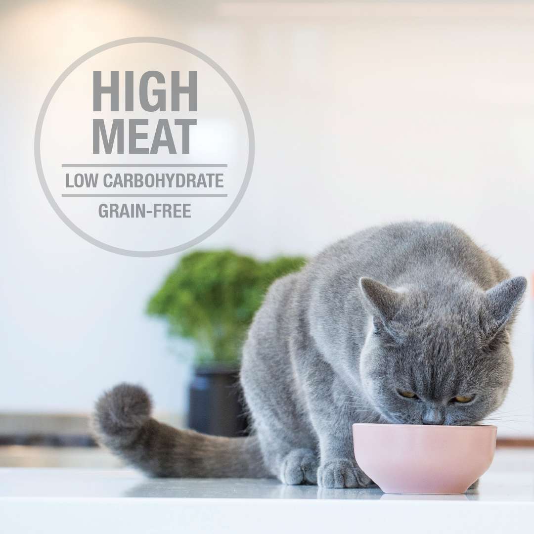 Feline Natural Pouch Beef & Hoki Multipack (85g x 12)