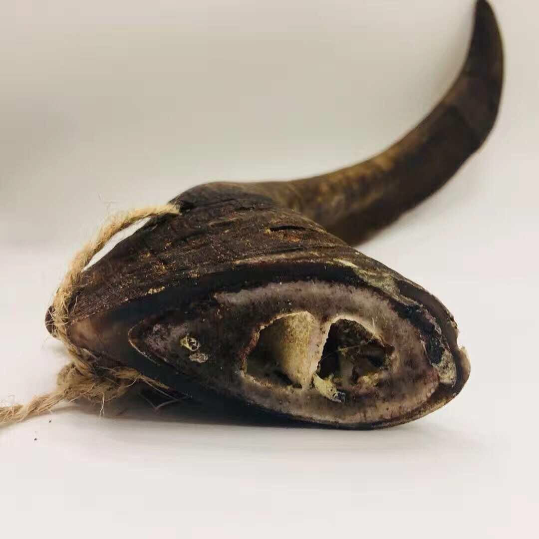 Goat Horns