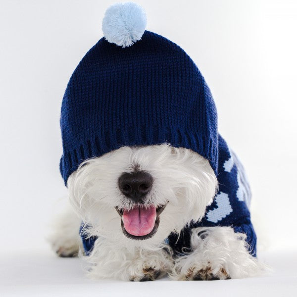 Pet Jumper with Hearts Online Only