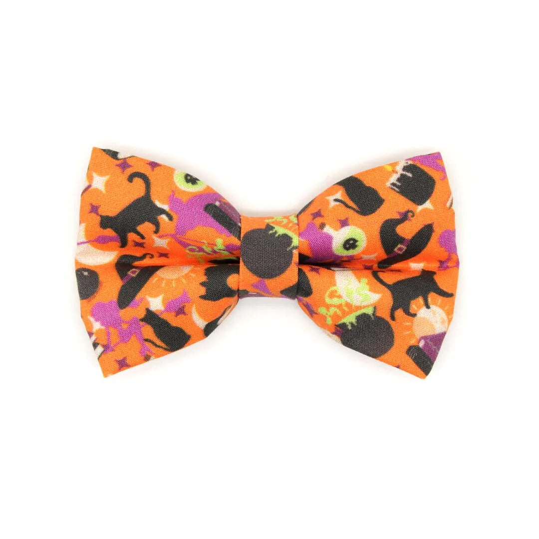Hocus Pocus Cat Collar Bowtie