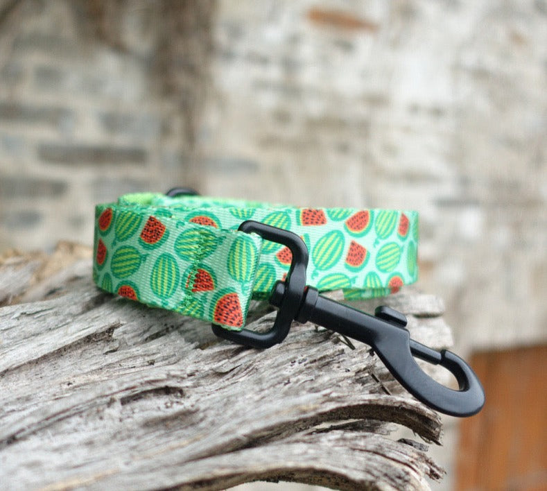 Watermelon Collar Leash