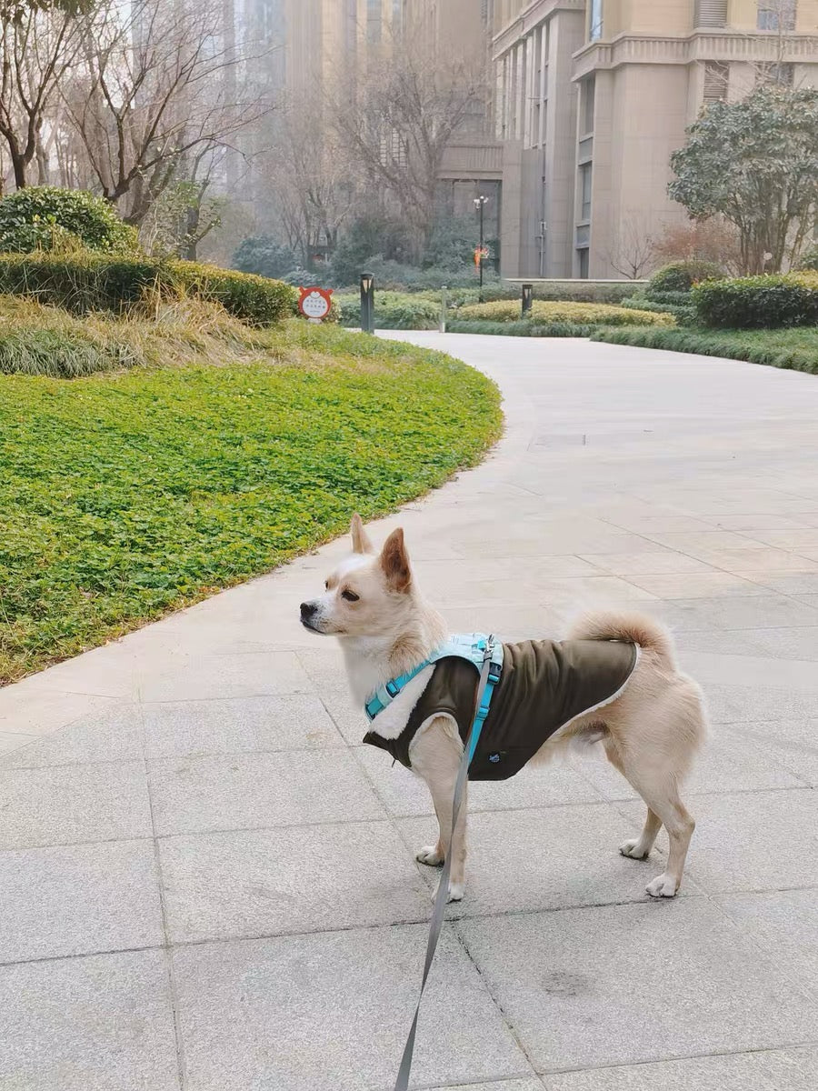 Suede Jacket - Green- Online Only