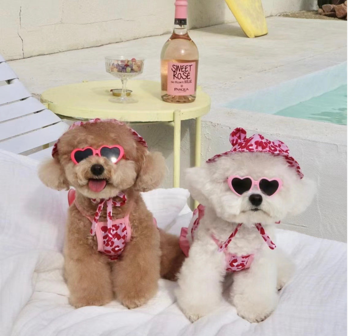 Pink Leopard Pet Bikini Swimming Wear