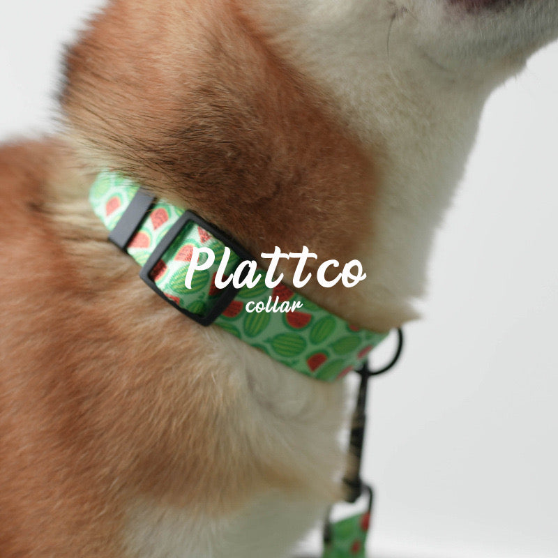 Watermelon Collar Leash