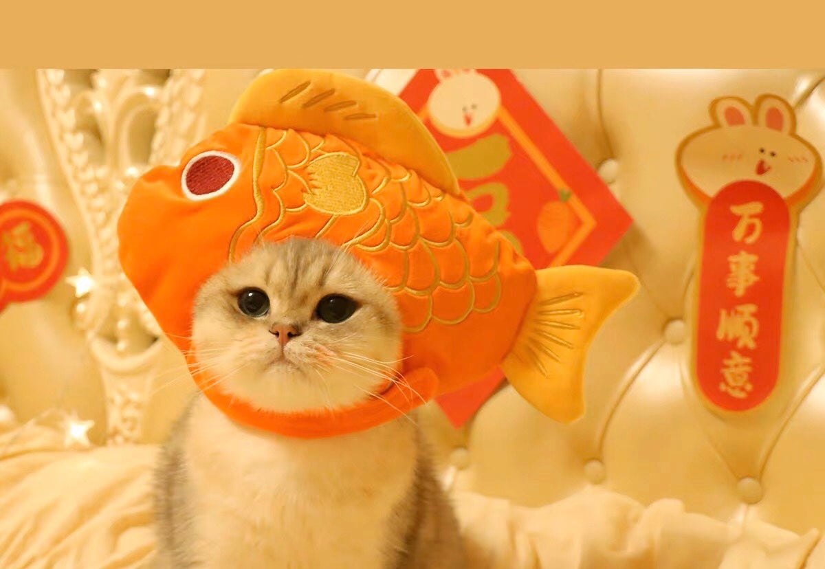 日本头巾