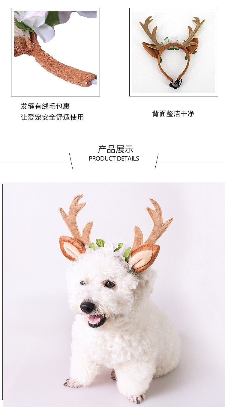 马卡龙领