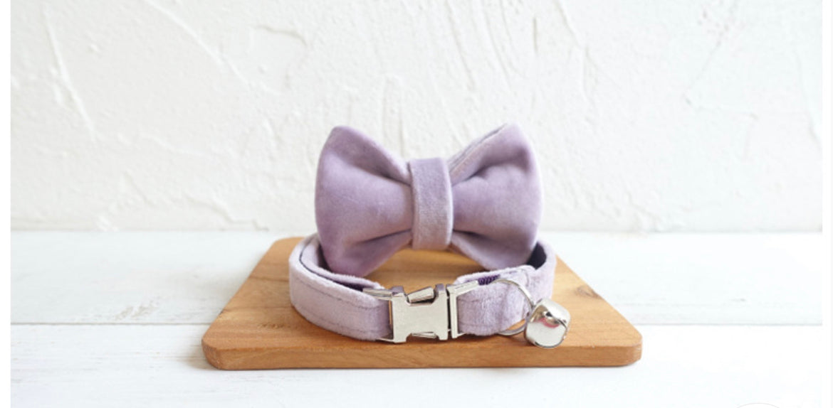 Purple Velvet Cat/Puppy Collar Bowtie