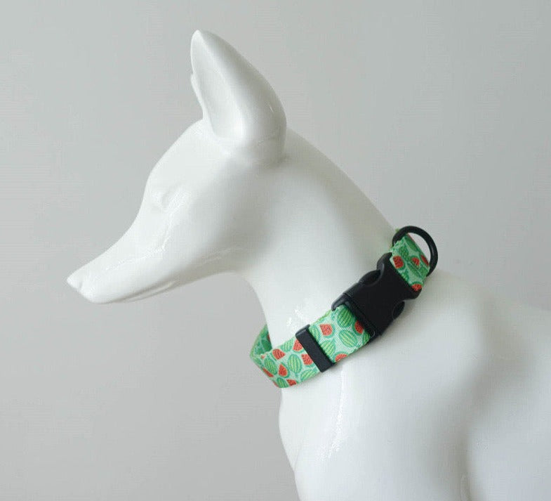 Watermelon Collar Leash