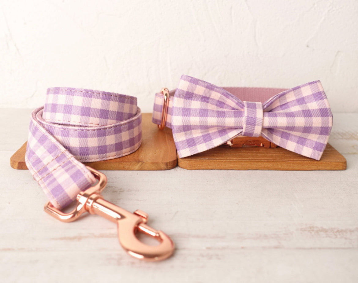 Purple Checks Collar Leash Bowtie