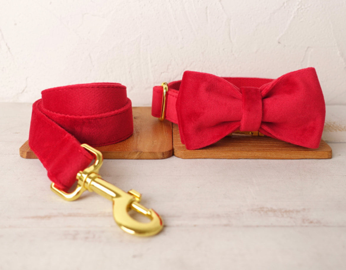 Red Velour Bowtie Collar Leash