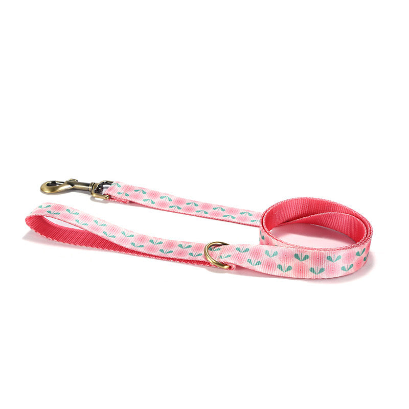 Pink Floral Collar Leash