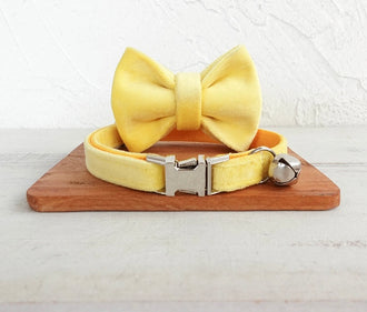 Yellow Velvet Cat/Puppy Collar Bowtie