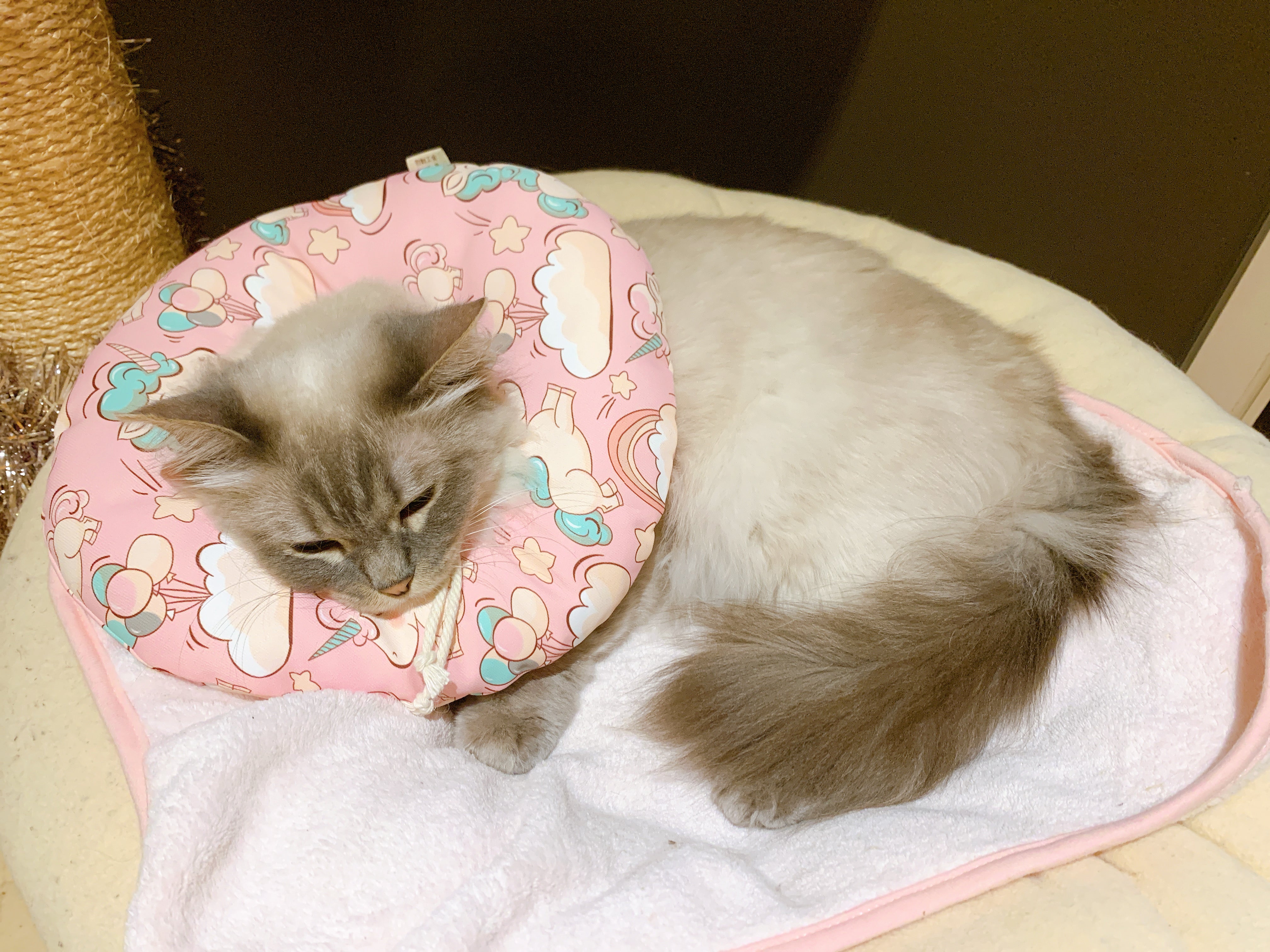 Neck Cushion