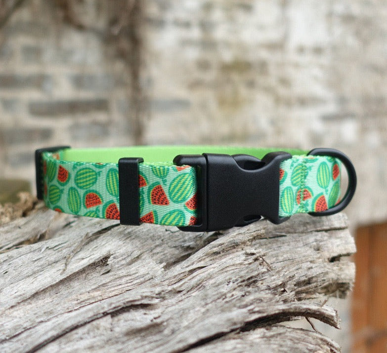 Watermelon Collar Leash