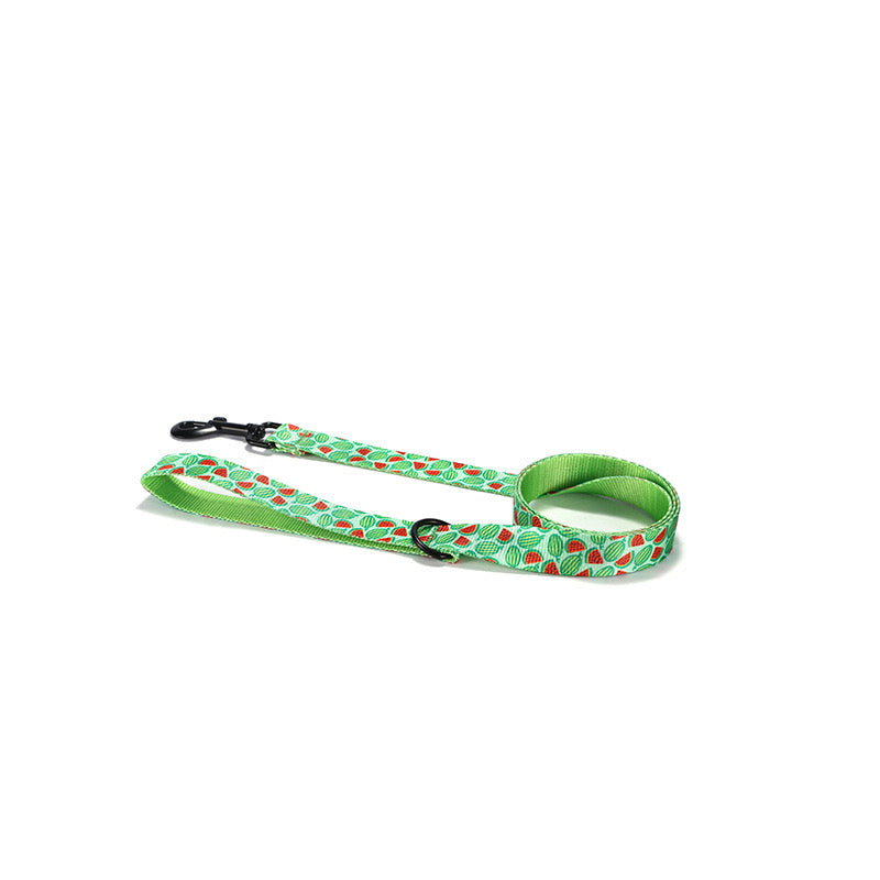 Watermelon Collar Leash