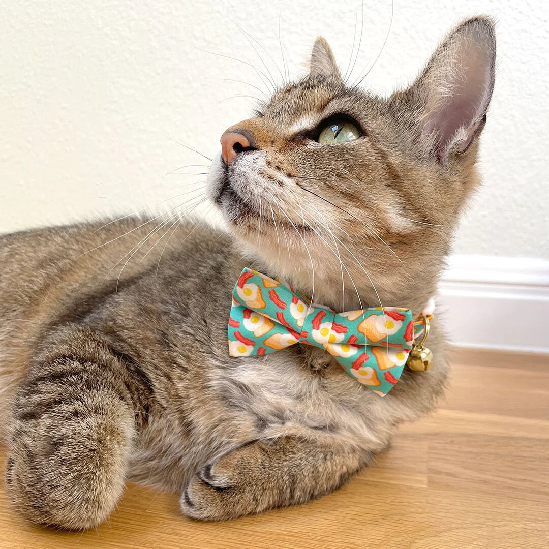 威尼斯猫项圈