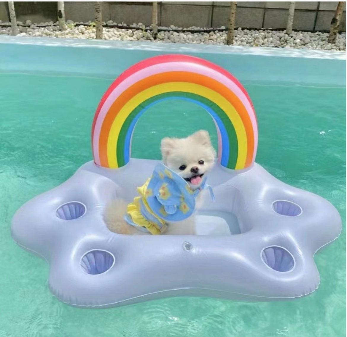 Sunflower Pet Bikini Swimming Wear