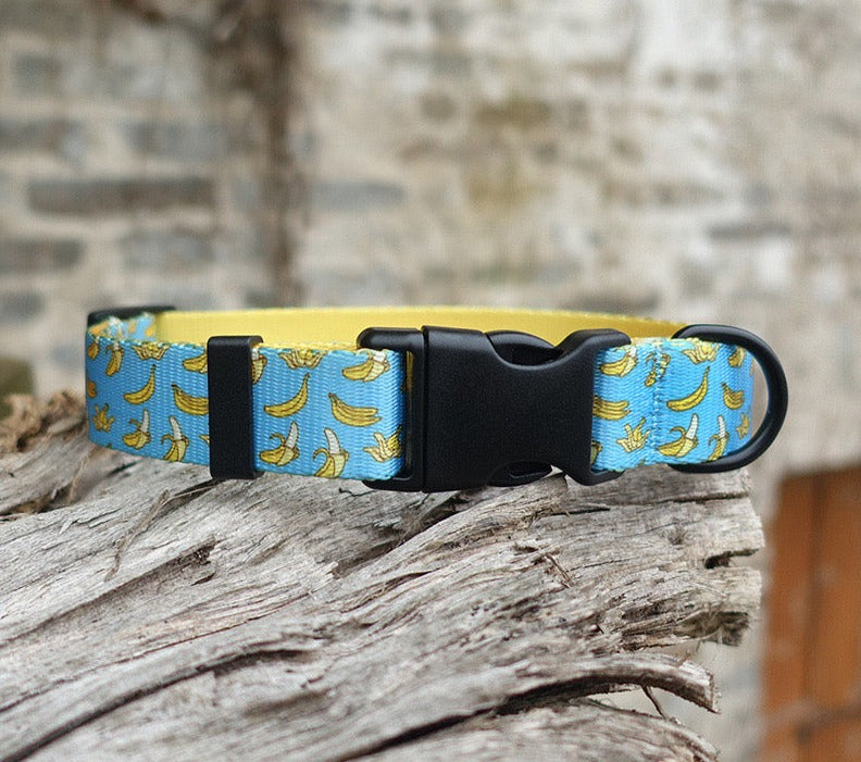Bananas Collar Leash