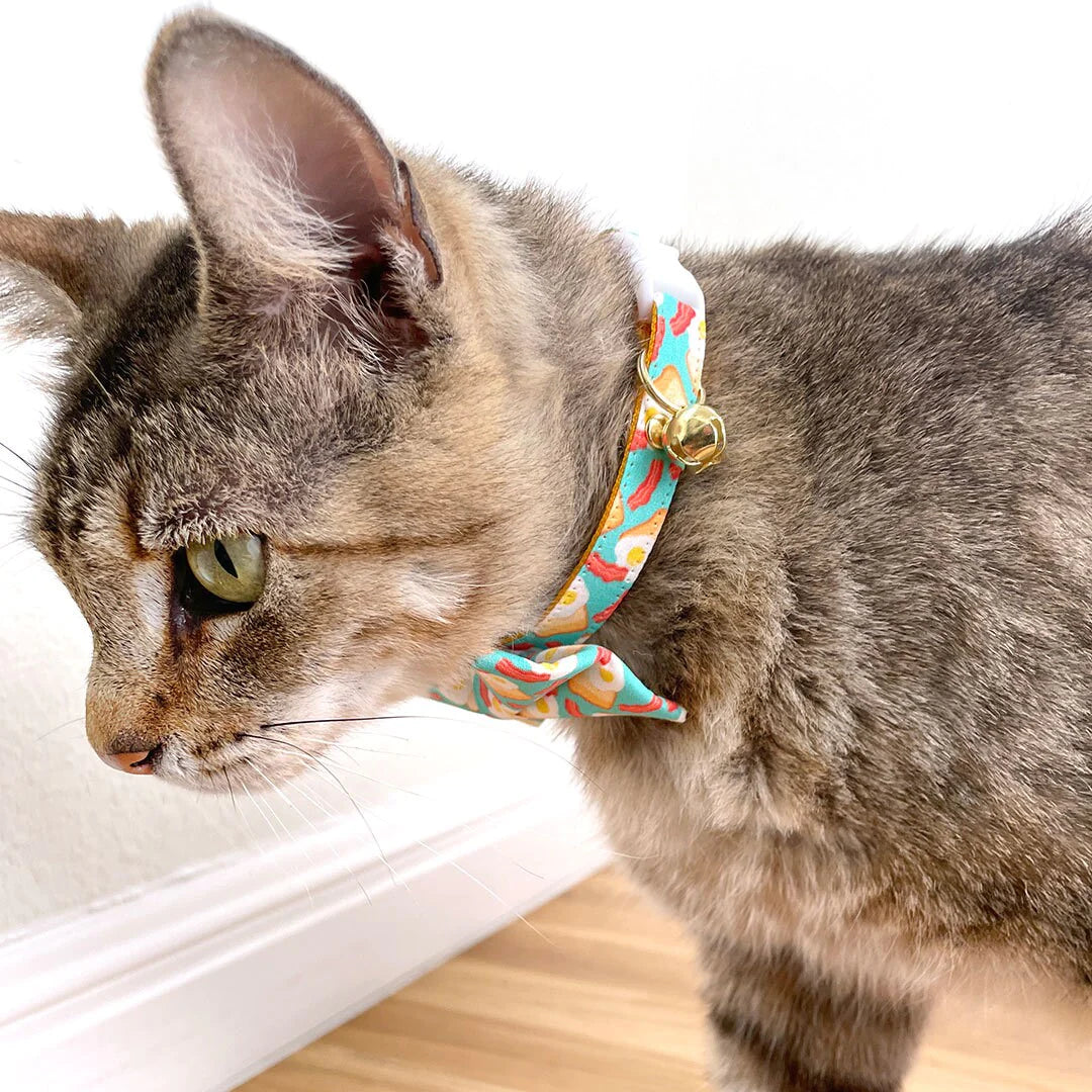 威尼斯猫项圈