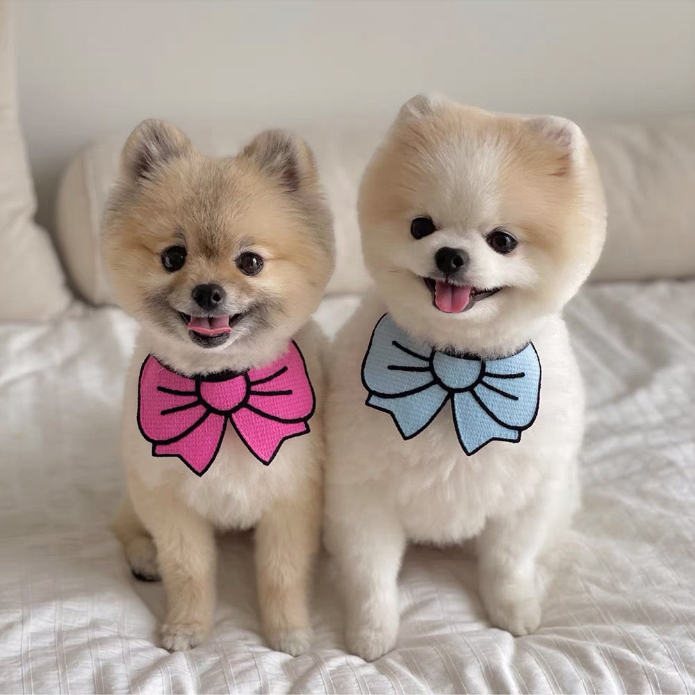 Bow Bandana