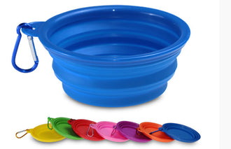 Collapsible Bowl