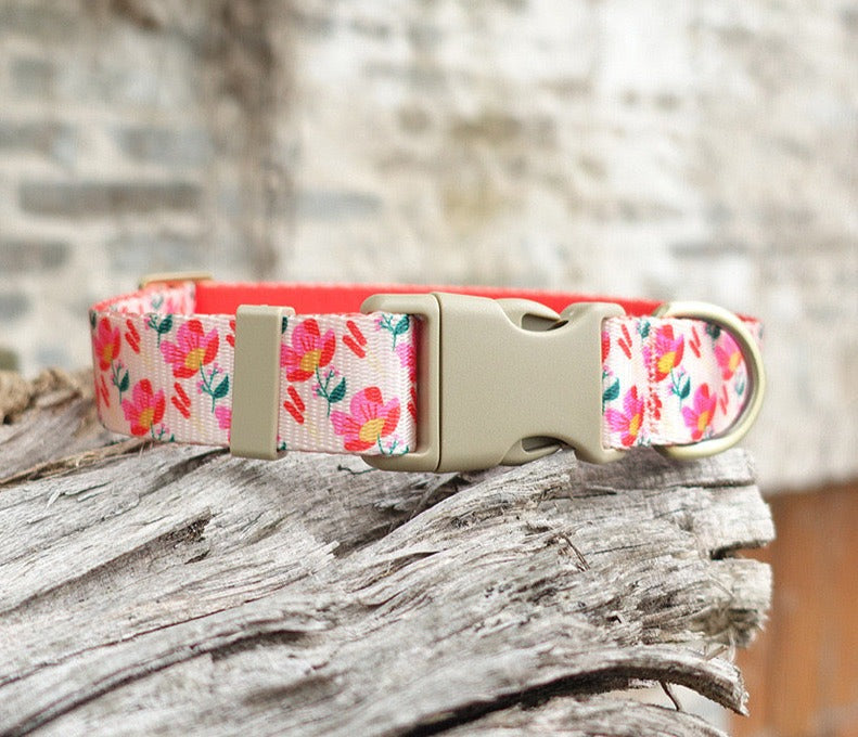 Red Floral Collar Leash
