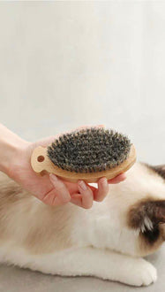 Bristle Grooming Brush