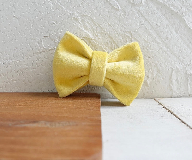 Yellow Velvet Cat/Puppy Collar Bowtie