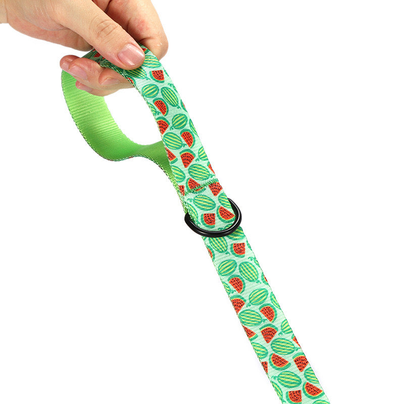 Watermelon Collar Leash