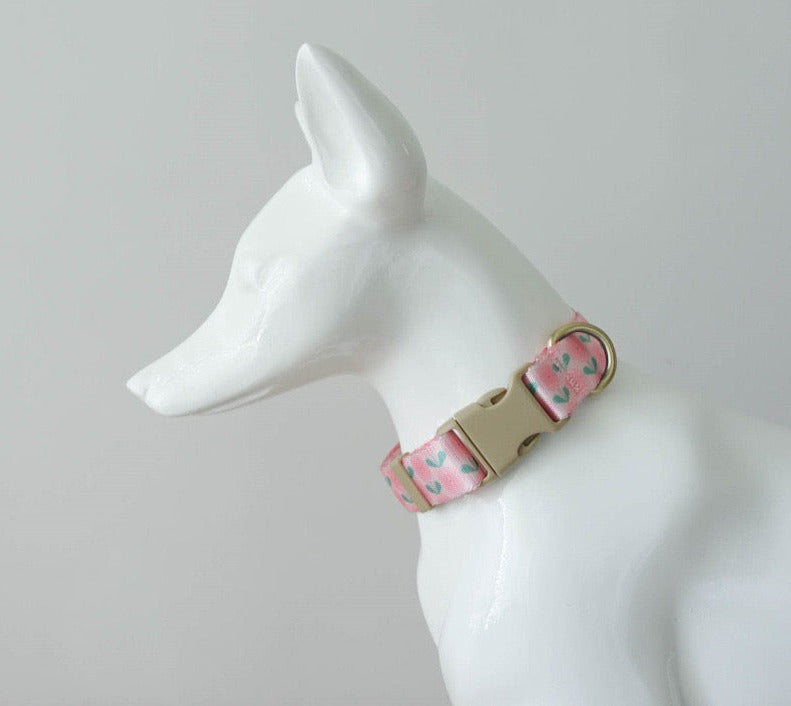 Pink Floral Collar Leash