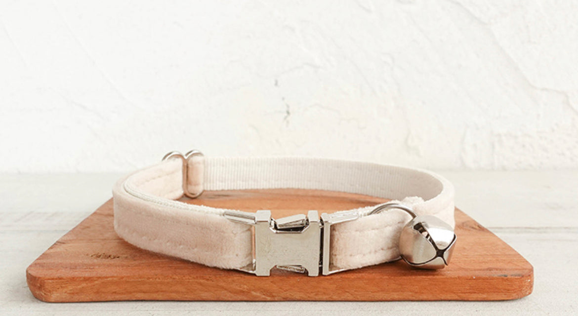 White Velvet Cat/Puppy Collar Bowtie