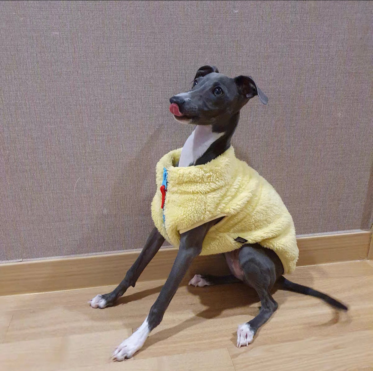 Fleece Vest -Aqua