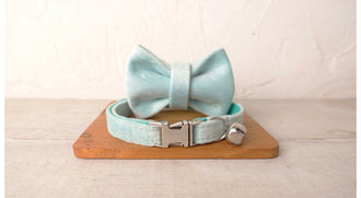 Aqua Velvet Cat/Puppy Collar Bowtie