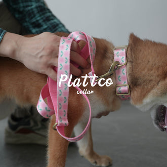 Pink Floral Collar Leash
