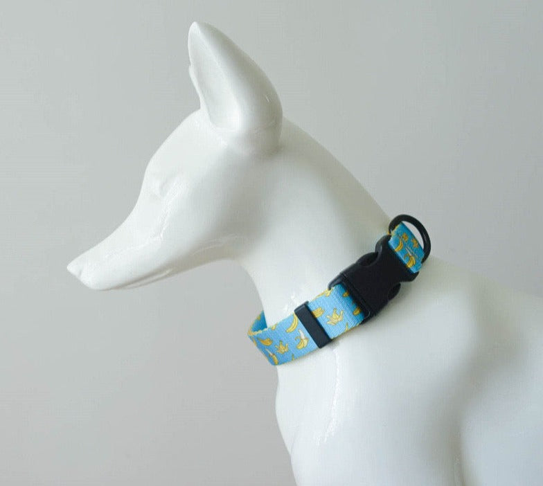 Bananas Collar Leash