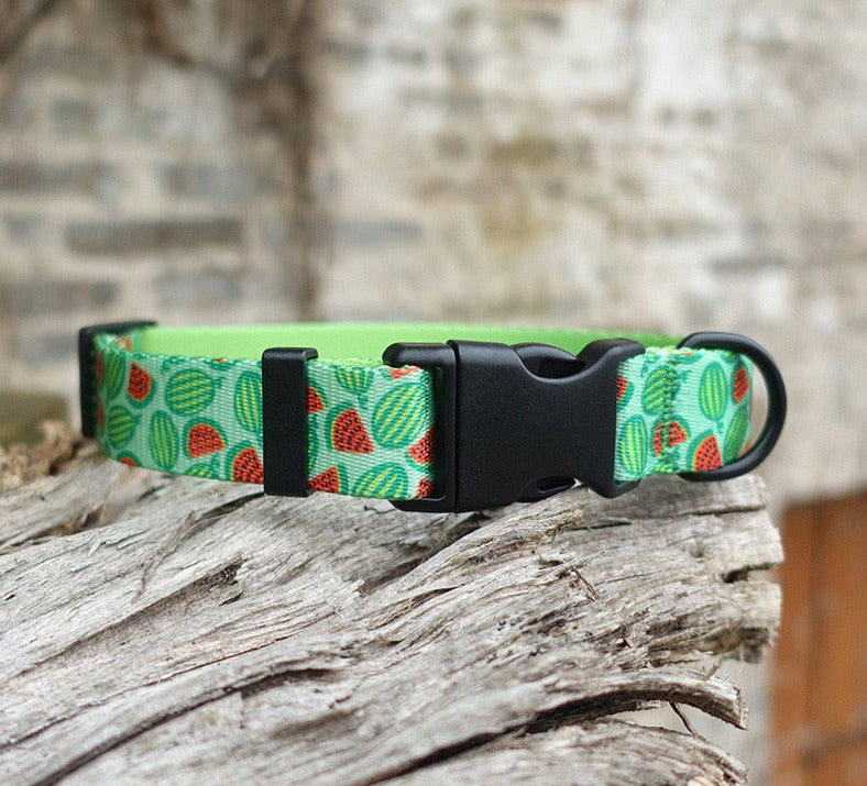 Watermelon Collar Leash
