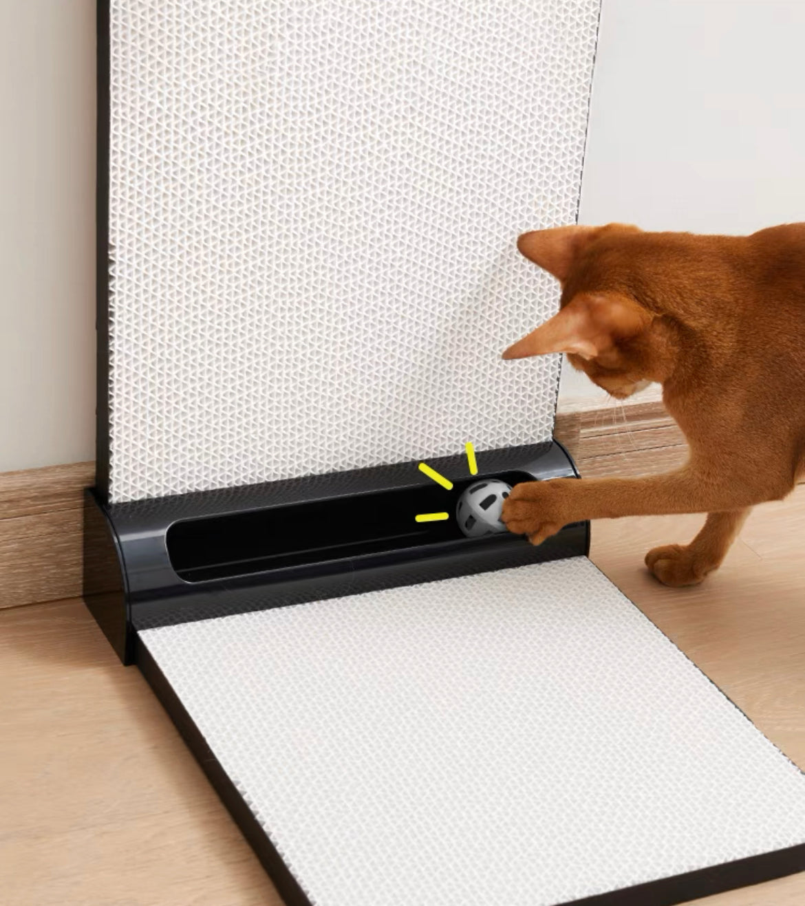 猫抓宫