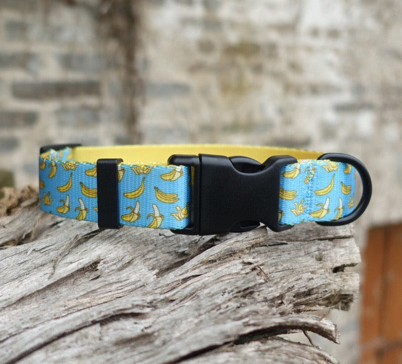 Bananas Collar Leash