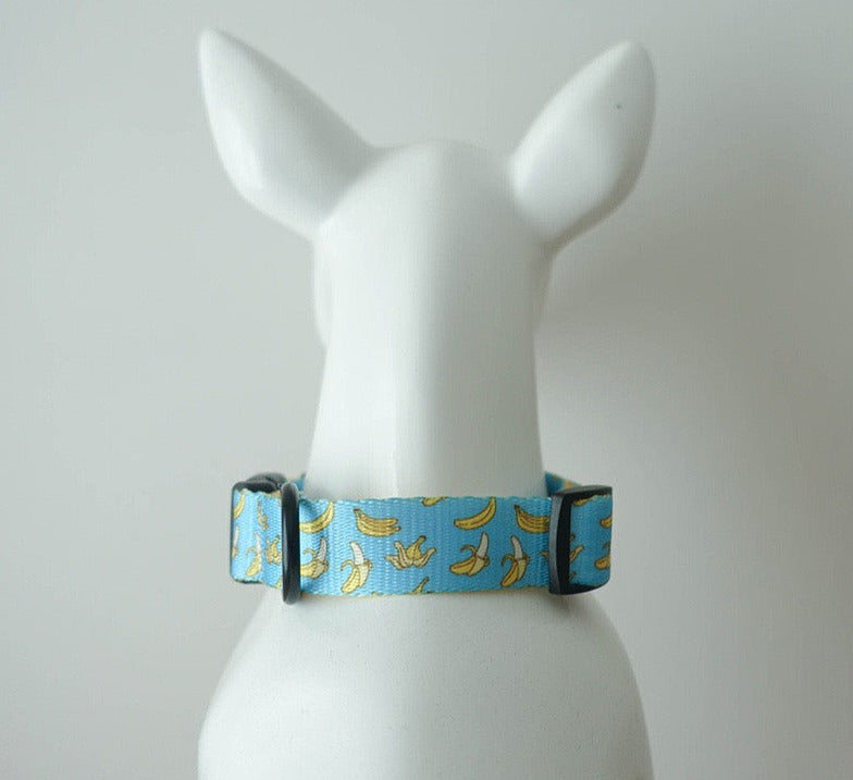 Bananas Collar Leash