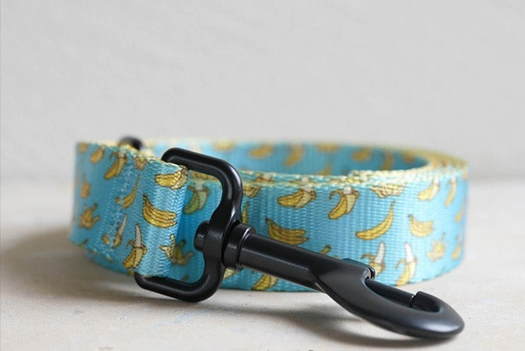 Bananas Collar Leash