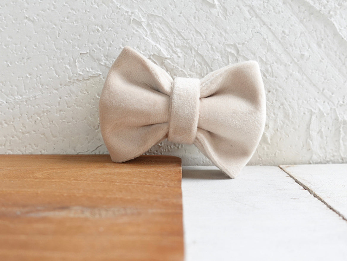 White Velvet Cat/Puppy Collar Bowtie