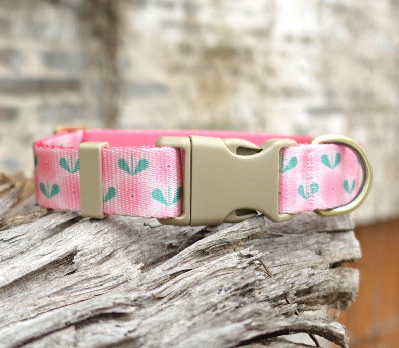 Pink Floral Collar Leash