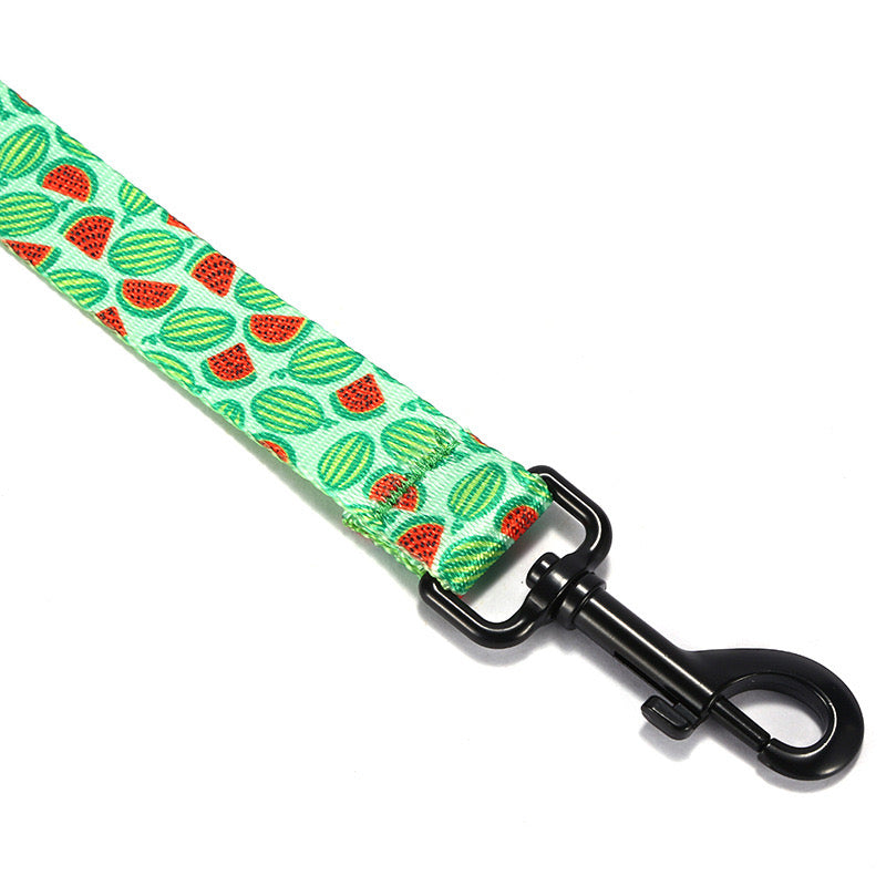 Watermelon Collar Leash