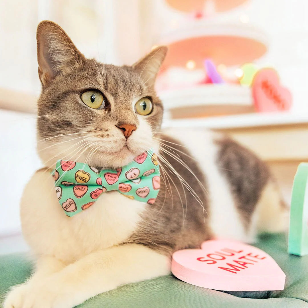 Conversation Hearts - Mint" - Candy Heart Cat Collar Bowtie