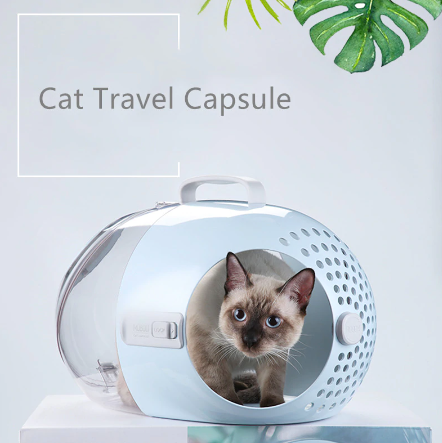 Cat Capsule