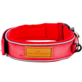 Paw Principality Classic Collar Red