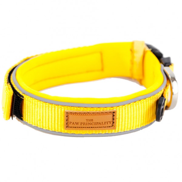 Paw Principality Classic Collar Yellow