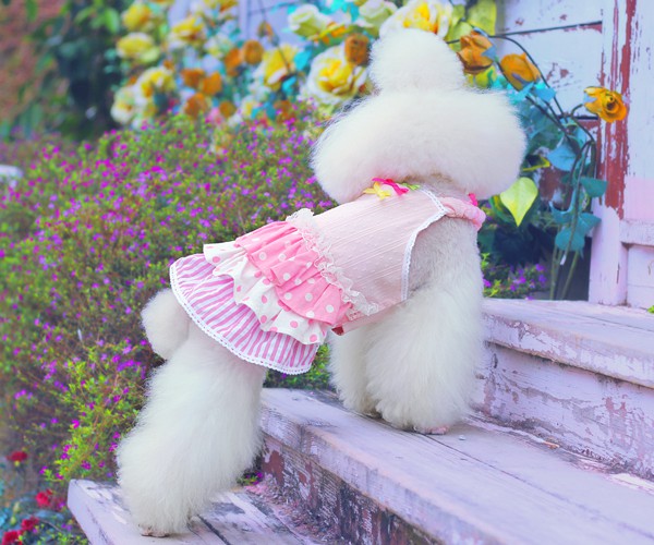 Pink Garden Style Dress